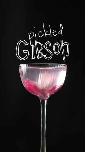 Craft cocktail by Rumble+Stir Mobile Bartenders