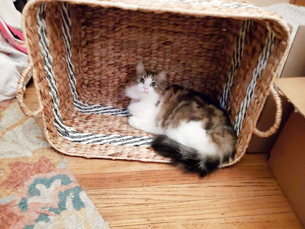 20251227_230101_edited