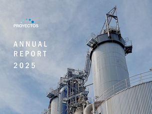 Our 2025 Annual Report, Proyectos Engineering