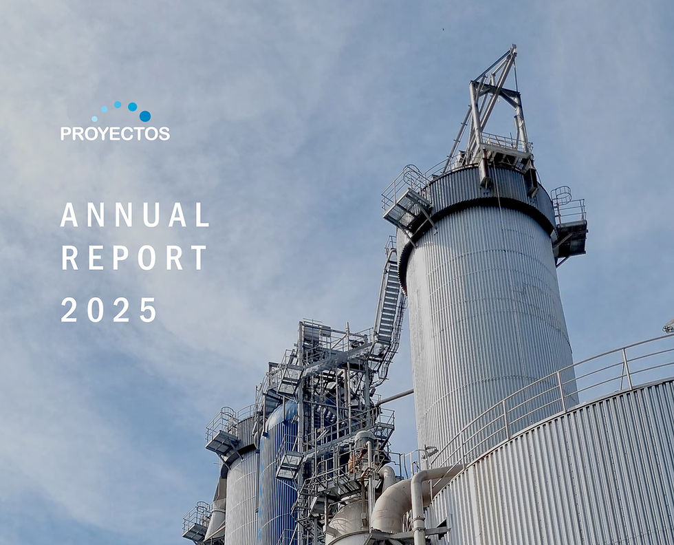 Our 2025 Annual Report, Proyectos Engineering