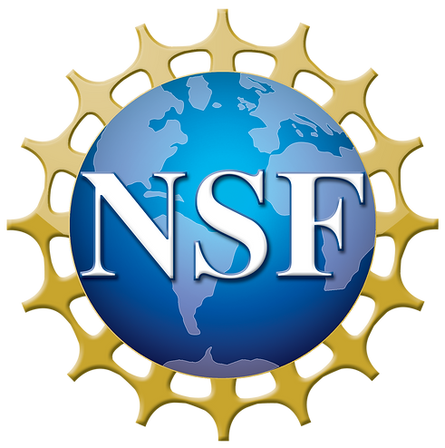 NSF_4-Color_bitmap_Logo.png
