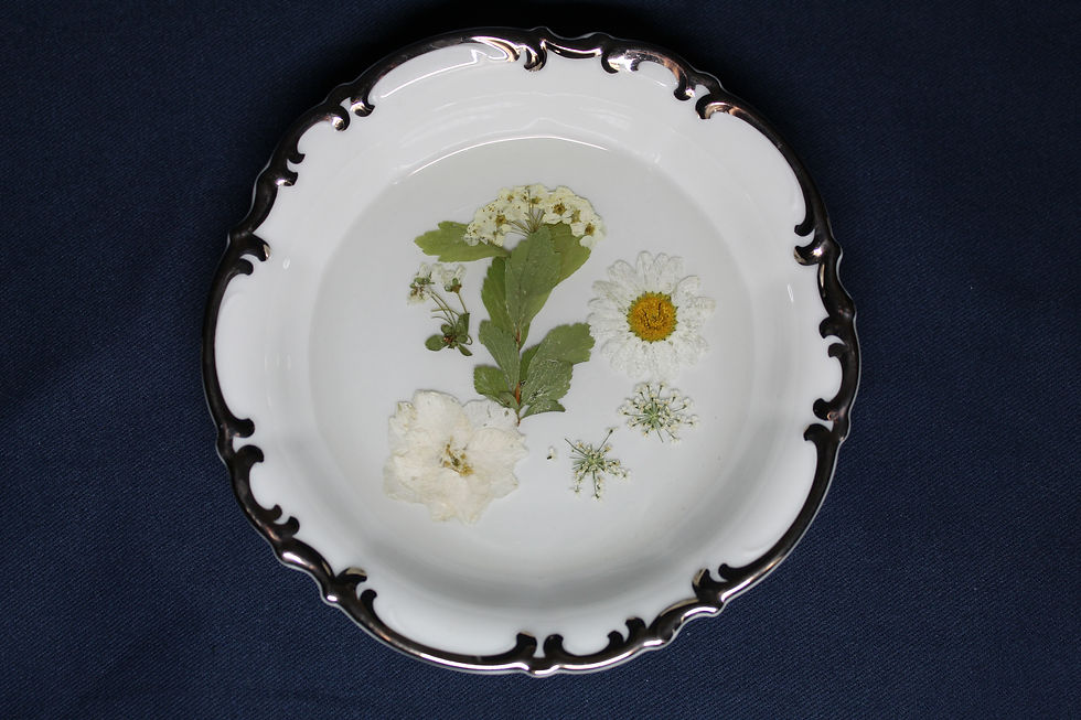 Thumbnail: Large Unique Shaped Ring Dishes 