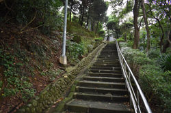 DSC_0001-1121 (2)