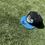 Thumbnail: Powder Blue Logo Snap Back 