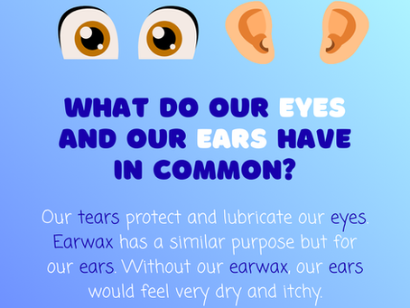 ear wax removal microsuction syringing irrigation audiologist clear ear wax blockage build-up ear wax cleaning vacuum treatment doctor nurse ear wax suction blocked unblock ear wax clinic ear wax clogged remove ear wax excess ear wax too much ear wax hardened ear wax plug extraction professional ear wax help impacted ear wax check consultation exam hospital hoover ear wax problem hard ear wax hardened ear wax ear wax pain painful ear wax professional ear wax ear wax issues clogged earwax removal