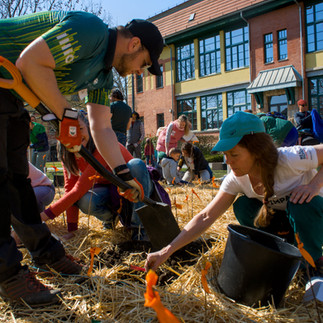 A man and a woman in a REAL School cap kneel side by side on straw mulch, planting a sapling together during the REAL Heartwoods community planting day in Graphisoft Park, Budapest, with a crowd of participants visible in the background.
