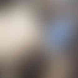 A REAL School Budapest student crouches outdoors over a wooden compost box, using a stick to examine its contents as part of a hands-on CLARITY climate education activity.
