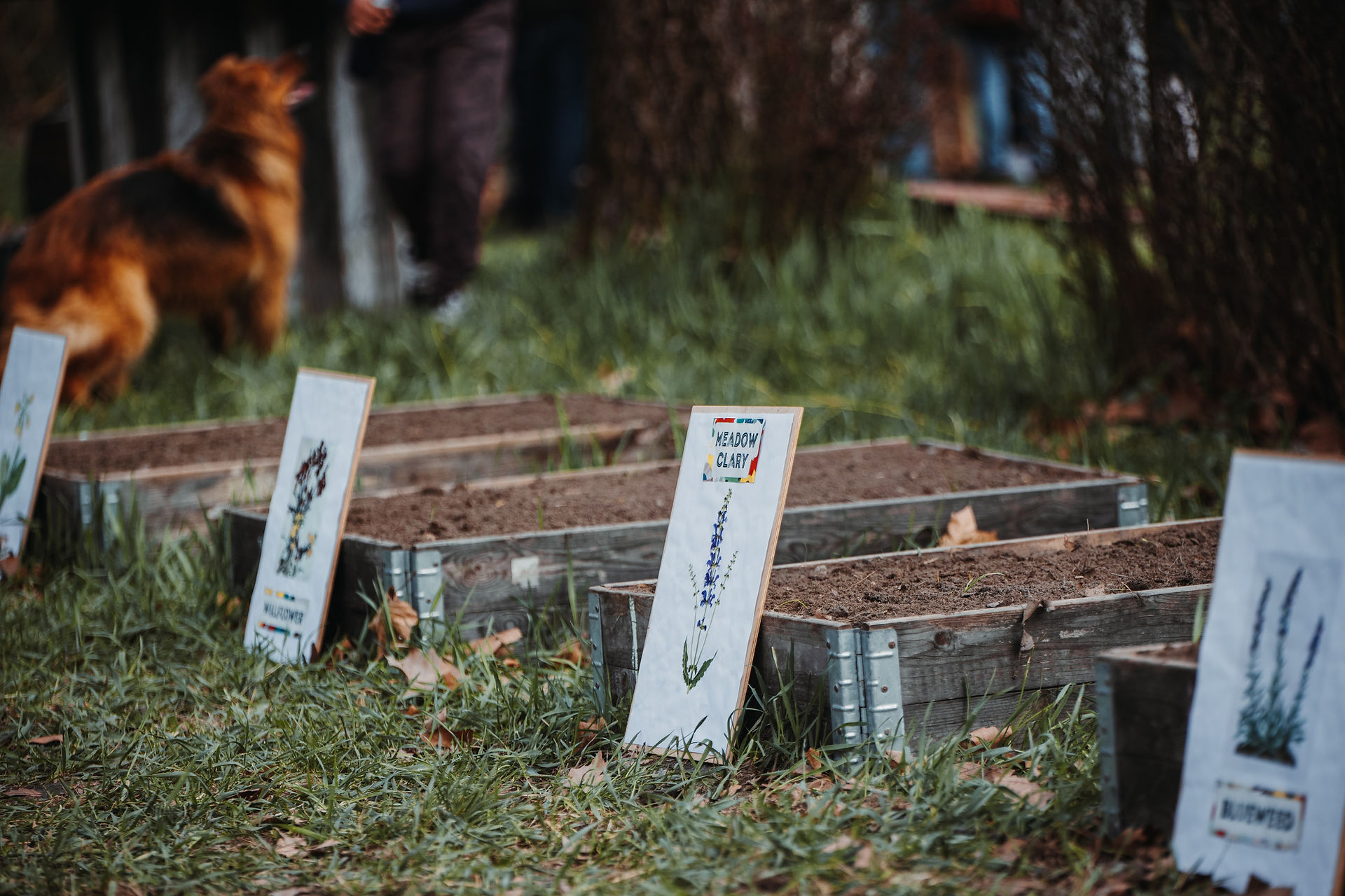Students planting wildflowers to help attract pollinators and bring back wildlife to the island base camp site on Obuda island as part of their nature-based learning programme