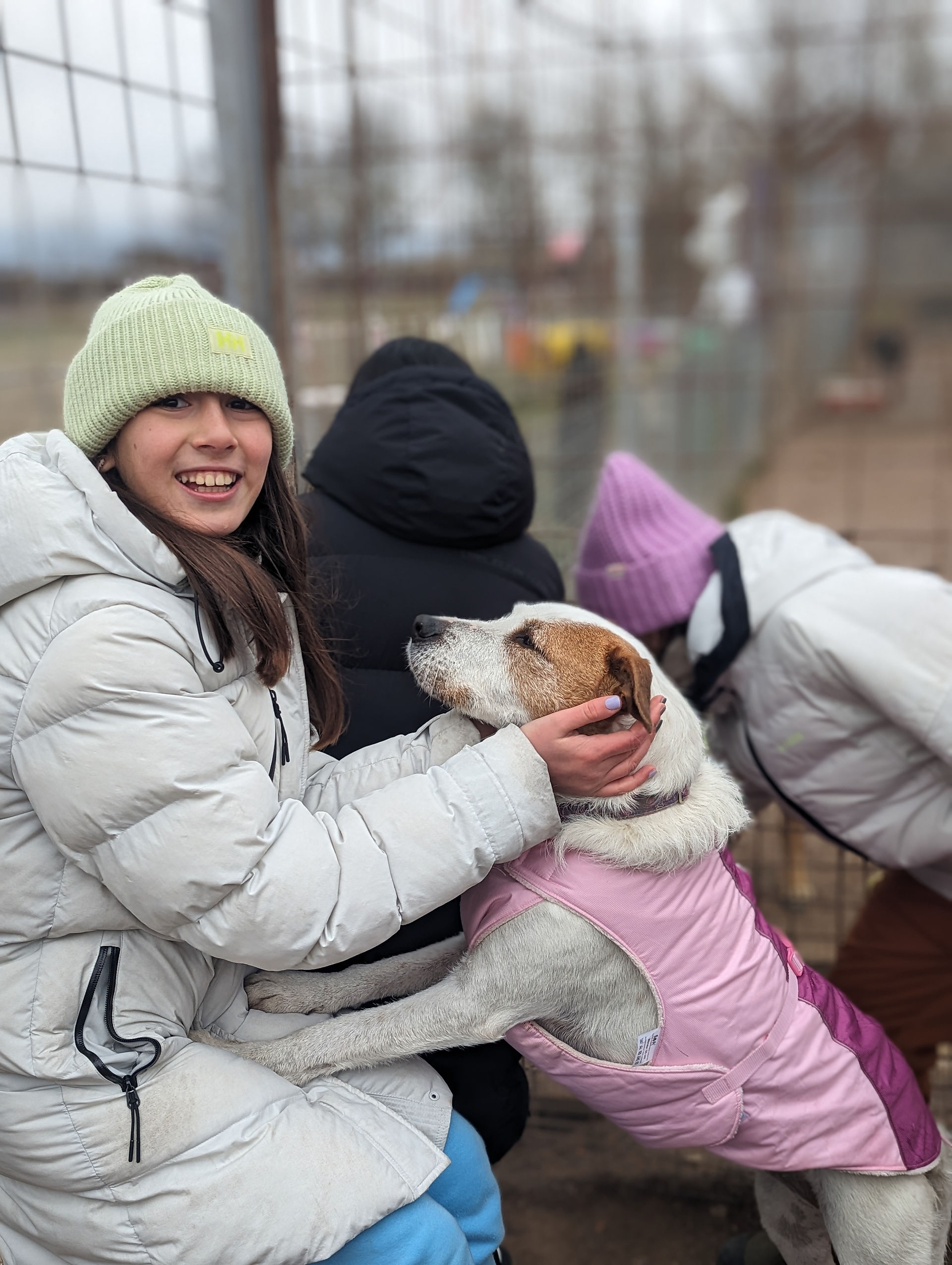 project-based learning Budapest primary school real impact animal welfare