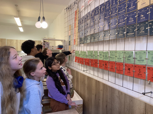 REAL School Budapest students gather in the school dining room, looking up at the newly installed botanical periodic table. The colour-coded display covers the wall, with plant cards arranged in the classic periodic table grid. The children are discovering the display for the first time after their spring break.
