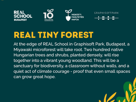 international school Budapest progressive alternative education regeneration AI nature-based best British primary school Hungary Miyawaki microforest Graphisoft Park 10millionfa real tiny forest