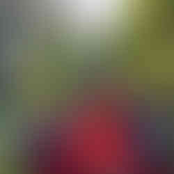 international school budapest progressive education regeneration relevant entrepreneurial art-filled learning AI nature-based best British primary school Hungary love of life project D2R