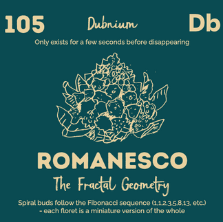 A botanical periodic table card in dark teal, part of REAL School Budapest's regenerative education project. Element 105, Dubnium, is paired with Romanesco, "the fractal geometry" — exploring mathematical patterns in nature as part of a whole child, plant-based learning environment.