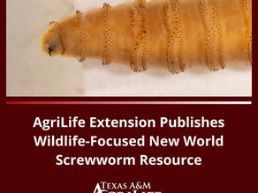 Texas A&M Agrilife receives federal funding
