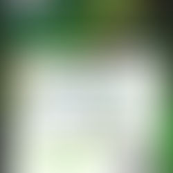 Kerrville - Toy Drive for Doyle Center