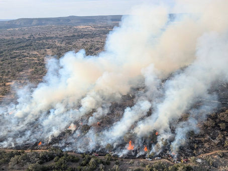 Blanco-Gillespie Co - Althaus Davis fire