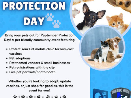 Fair Oaks Ranch - Puptember Protection Day