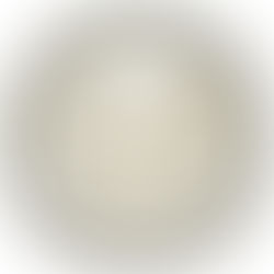 Kerr Co - Burton Annex dedication