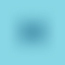 Ingram - ICE demonstration 