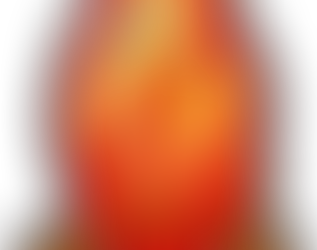 Kendall County - Burn Ban