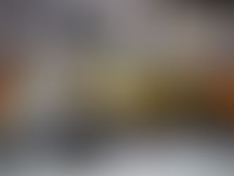 Bandera Co - Drug bust