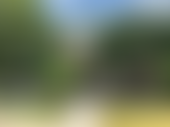 Kerrville Louise Hays Park Exhibit