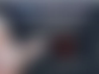 Ingram PD - Blue Santa Program