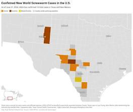 Counties released from New World Screwworm