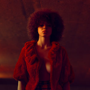 MODEL: 2049