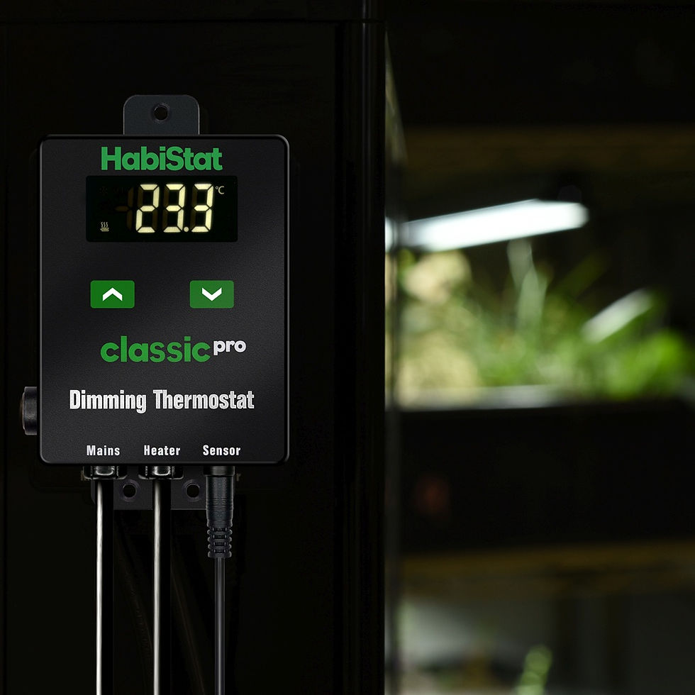 Thumbnail: HabiStat Classic Pro Dimming Thermostat, Black, 450 Watt