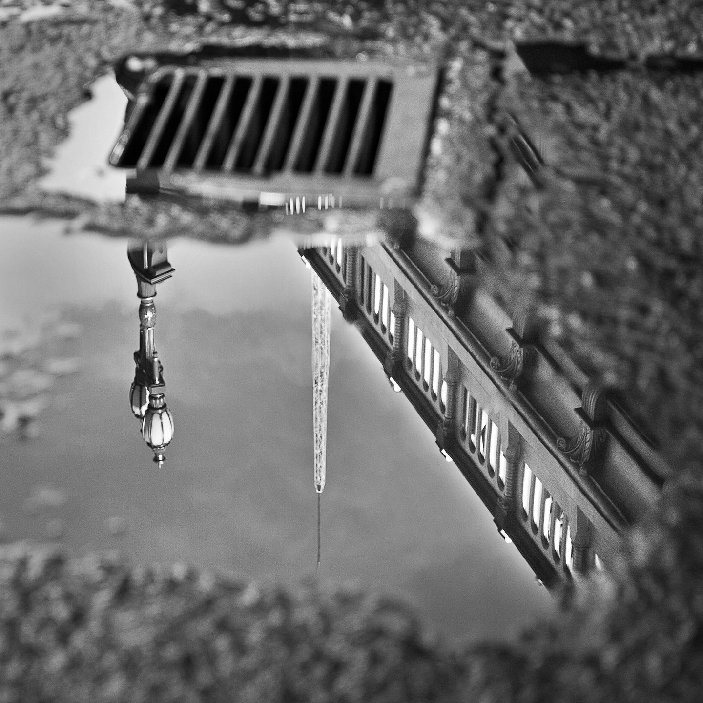 A reflection of Melbourne 4