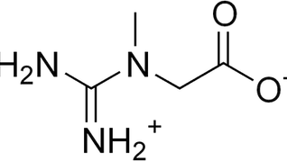 קריאטין - איך תוסף פשוט יכול לשפר את כל תפקודי הגוף שלך