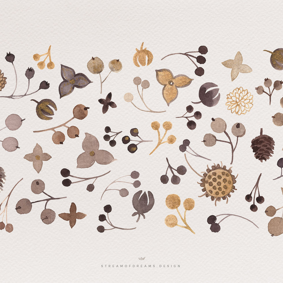 Thumbnail: An elegant watercolor illustration featuring a collection of botanical elements, including seeds, berries, leaves, and pinecones in warm earthy tones