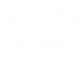Quantum Leap Logo