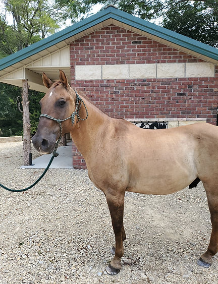 Website Poke_edited.jpg