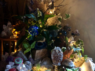 How To Make A Faerie Garden