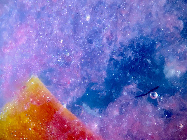 Astral View.jpg