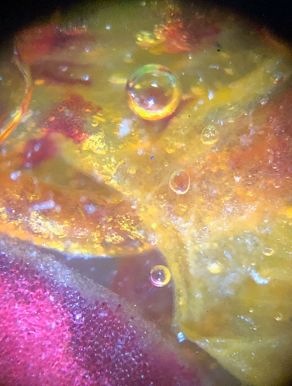 Color Bubbles.jpg