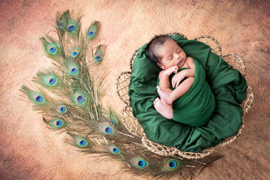 Newborn photoshoot Singapore baby in green wrap peacock feather theme