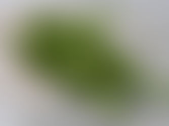 Romero y su gran beneficio para nuestro cuerpo