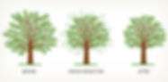 Tree reductin service bristol