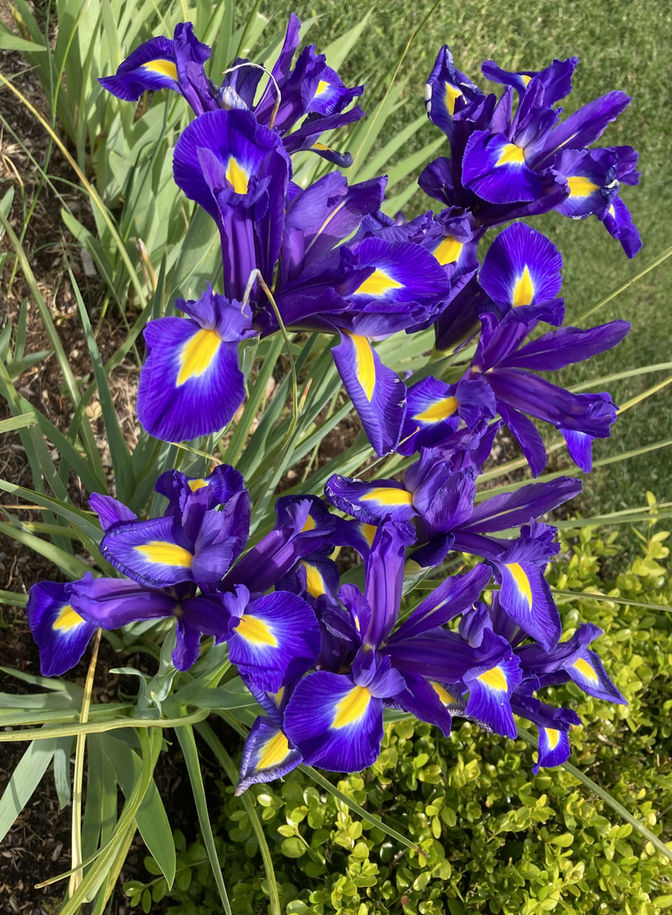 This Week's Inspirational Thought