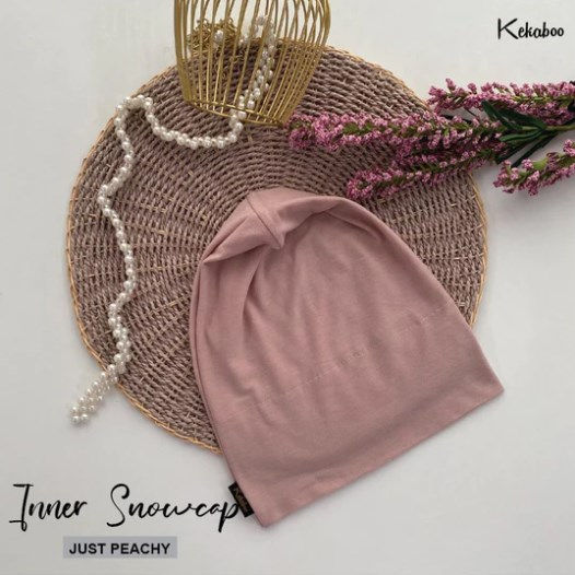 Thumbnail: Inner Snowcap [Part 1]