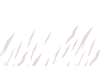 footer.png