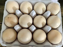 484123993_122131150838602307_69172763585