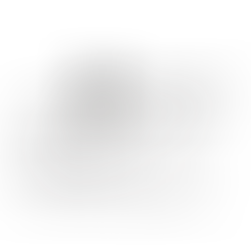 Alternative Therapien für Sommerekzem bei Pferden