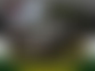 CONVERTIBLE GRAIN HAULER