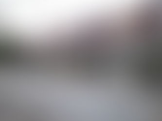 Proprietária vegetariana transforma churrascaria de Porto Alegre em restaurante vegano