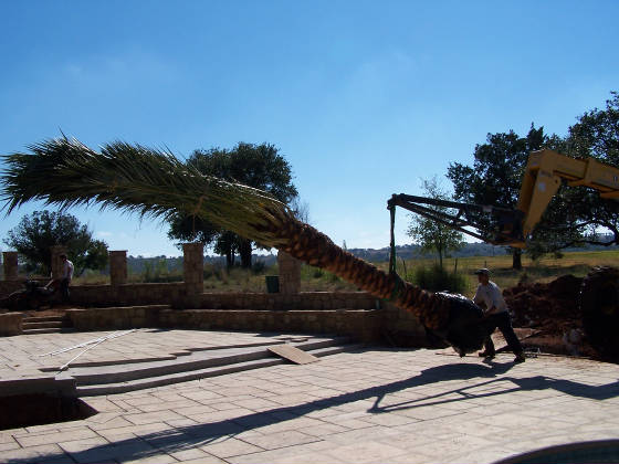 crane2_jpg_w560h420.jpg