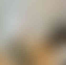 Salón acondicionado para una reunión familiar